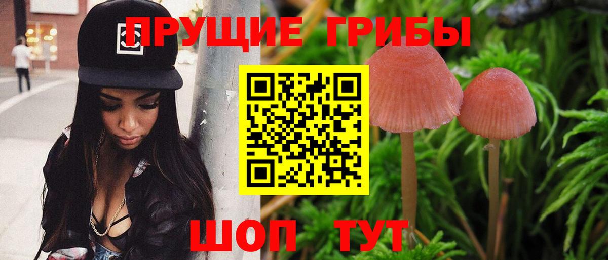 Конаково  Галлюциногенные грибы Cubensis  Галлюциногенные грибы Psilocybe  Вход с VPN 